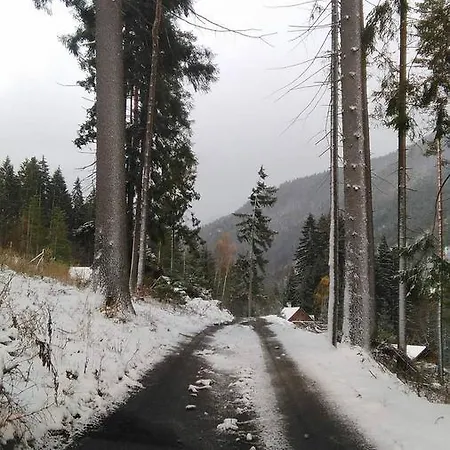 Adavy Alojamento de Turismo Selvagem