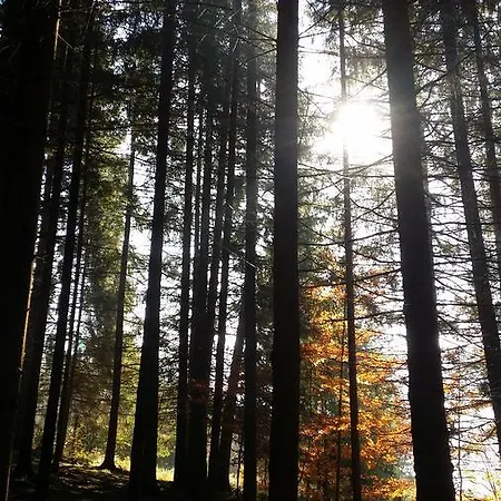 Adavy * Liptovský Ján