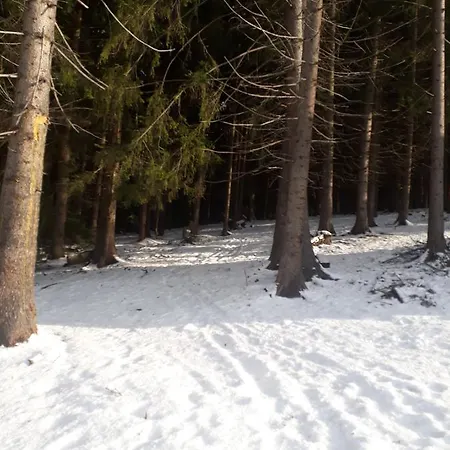 Jaktstuga Adavy *