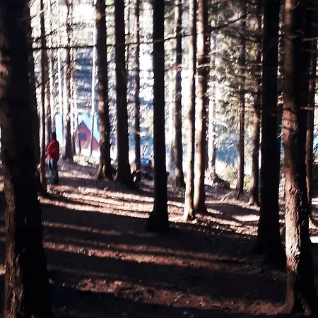 ロッジ Adavy Liptovský Ján