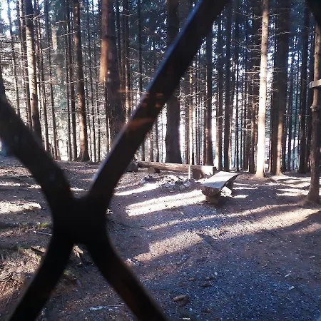 Adavy Alojamento de Turismo Selvagem *