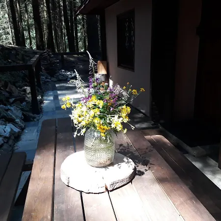 Adavy Alojamento de Turismo Selvagem Liptovský Ján