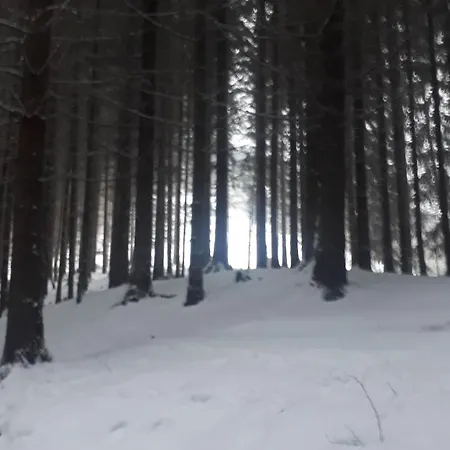 Adavy Alojamento de Turismo Selvagem *